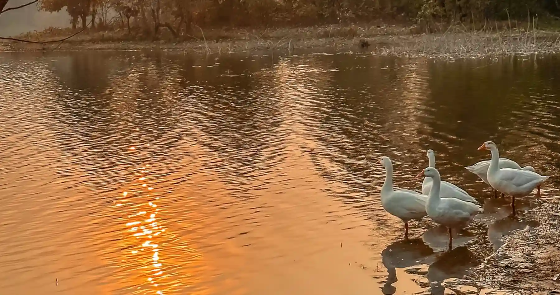 Birdwatching at Khoka Lake